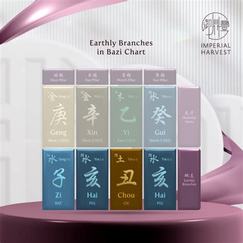 地支|Introduction to the 12 Earthly Branches (十二地支)